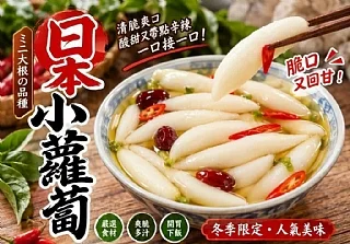 日本小蘿蔔(2026/9/16收單下架)(中南部蔬果不宜寄送)(高風險商品能自取或配合送貨時間再私訊加單）