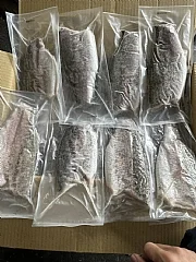 帶皮金目鱸魚菲力(150/200g)