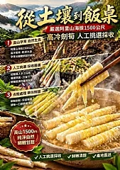 阿里山劍筍(2026/9/27收單下架) (中南部蔬果不宜寄送)(高風險商品能自取或配合送貨時間再私訊加單) 縮圖 3