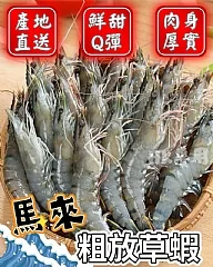 馬來粗放草蝦6P(12/27 )