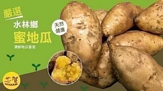 水林57號『蜜地瓜』(2026/9/15收單下架)(中南部蔬果不宜寄送)(高風險商品能自取或配合送貨時間再私訊加單）