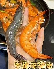活凍大白蝦600g-盒