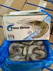 PR活凍大白蝦30/40