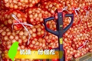 屏東恆春洋蔥(2026/9/15收單下架)(中南部蔬果不宜寄送)(高風險商品能自取或配合送貨時間再私訊加單）