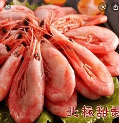 限時團購|爆甜北極甜蝦】
