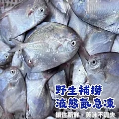 活凍野生白鯧魚