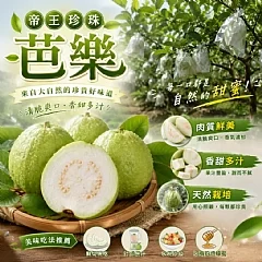 帝王珍珠芭樂|高風險・中南部不宜寄送