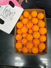 澳洲紅丁(2026/9/19收單下架)(中南部蔬果不宜寄送)(高風險商品能自取或配合送貨時間再私訊加單）