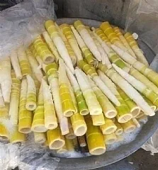 阿里山石篙筍700g大包裝(2026/9/27收單下架) (中南部蔬果不宜寄送)(高風險商品能自取或配合送貨時間再私訊加單) 縮圖 3